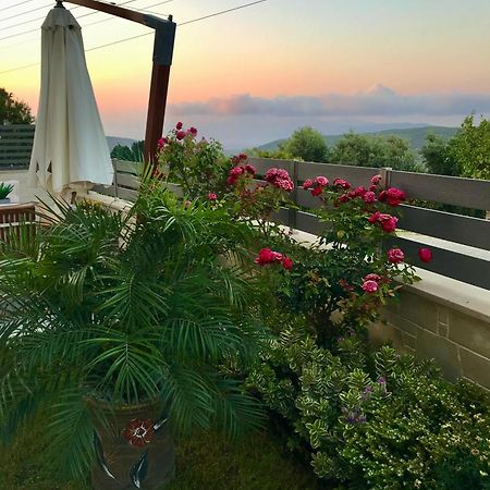 Villa Chryssi Kíssamos Exteriér fotografie